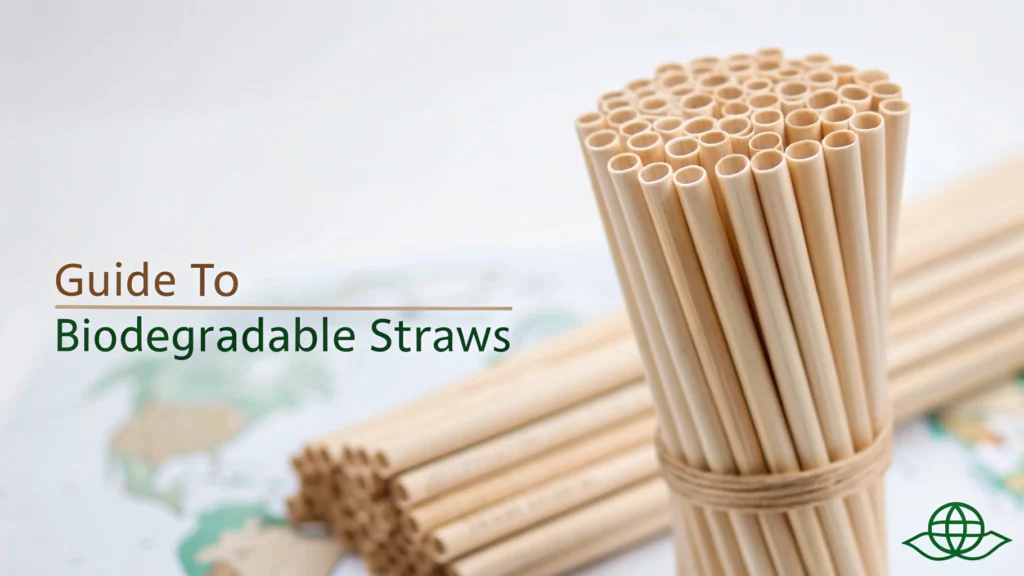 Biodegradable Straws