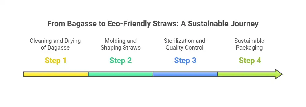 Process from bagasse to eco-friendly straws diagram.