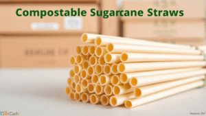 Eco-friendly compostable sugarcane straws stacked.